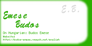 emese budos business card